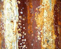 Contact corrosion image