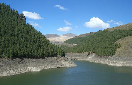 Renaturierung gold mine peru